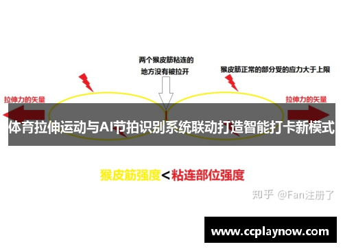 体育拉伸运动与AI节拍识别系统联动打造智能打卡新模式